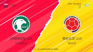 伊朗代表团成员签证问题引发足球世界杯关注